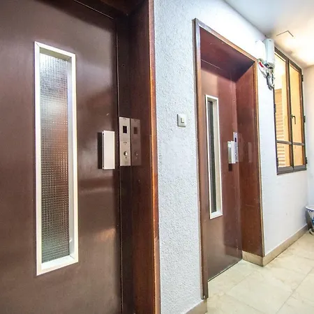 Albatro's * 加的斯